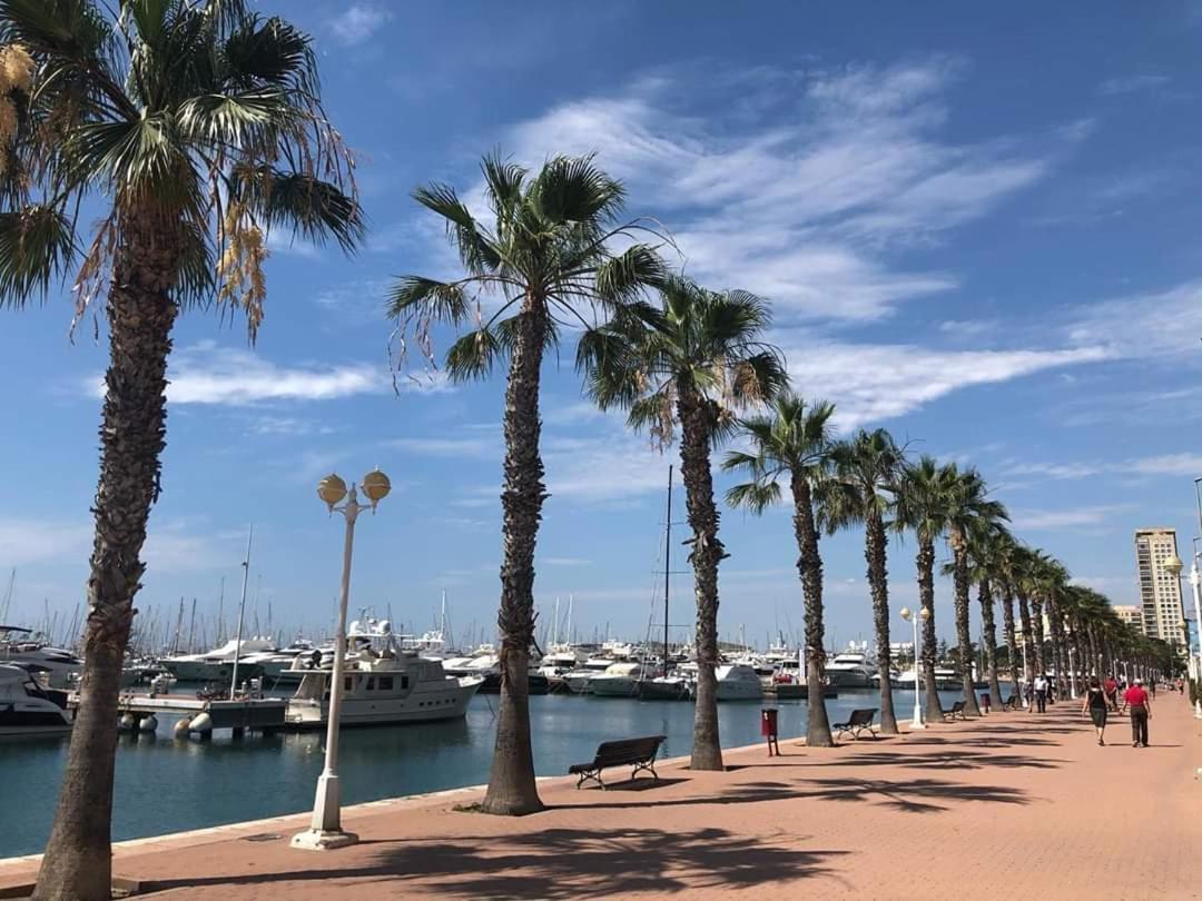Estudio De Lujo Casaturis En El Corazon De Alicante A114 Екстер'єр фото